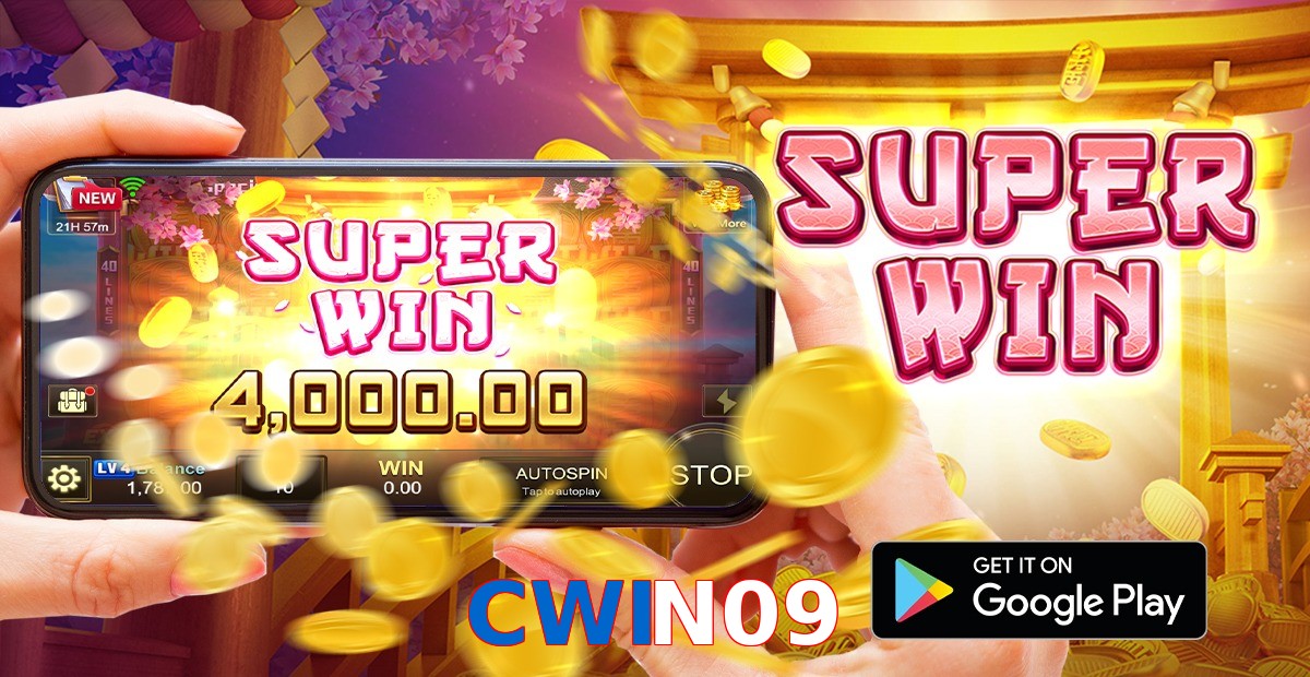 CWIN09