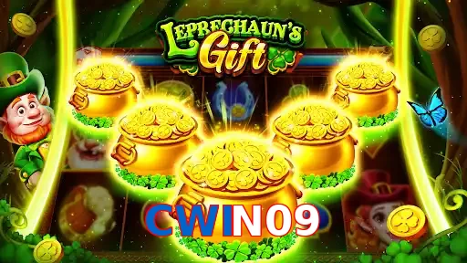CWIN09