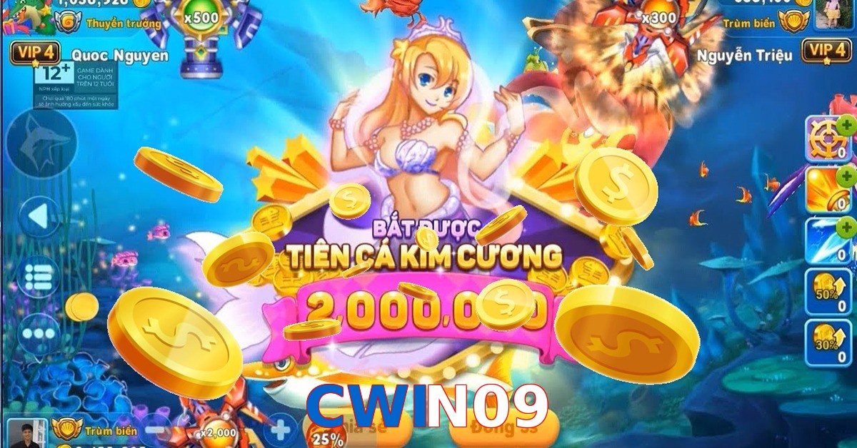 CWIN09