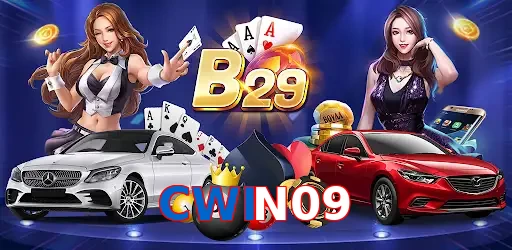 CWIN09