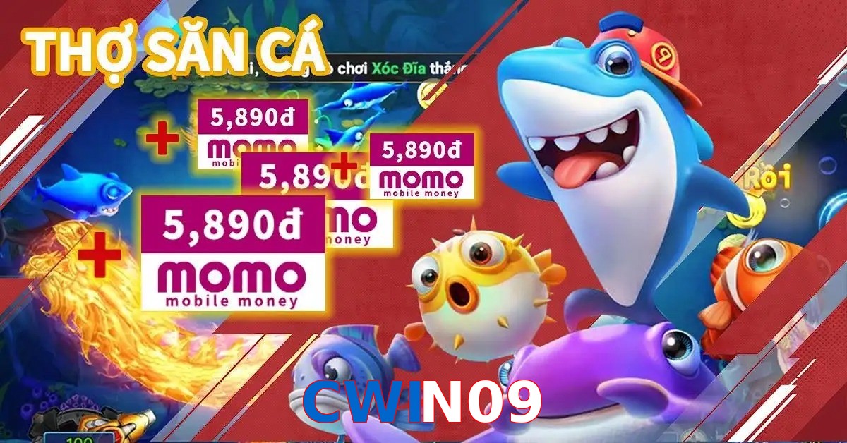 CWIN09