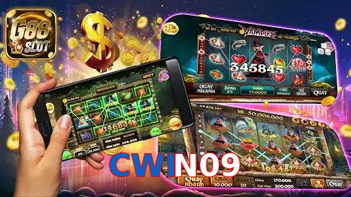 CWIN09