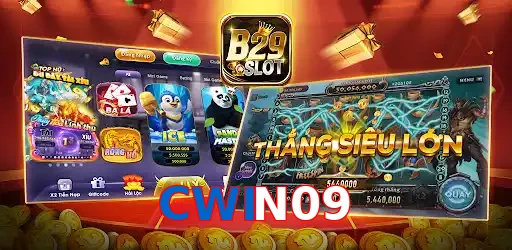 CWIN09