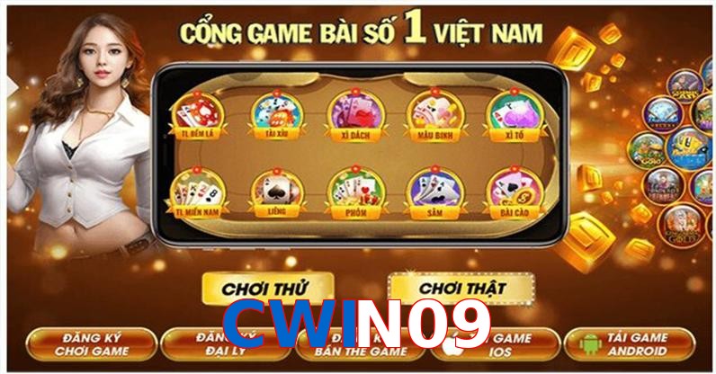CWIN09
