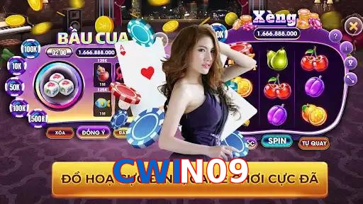 CWIN09