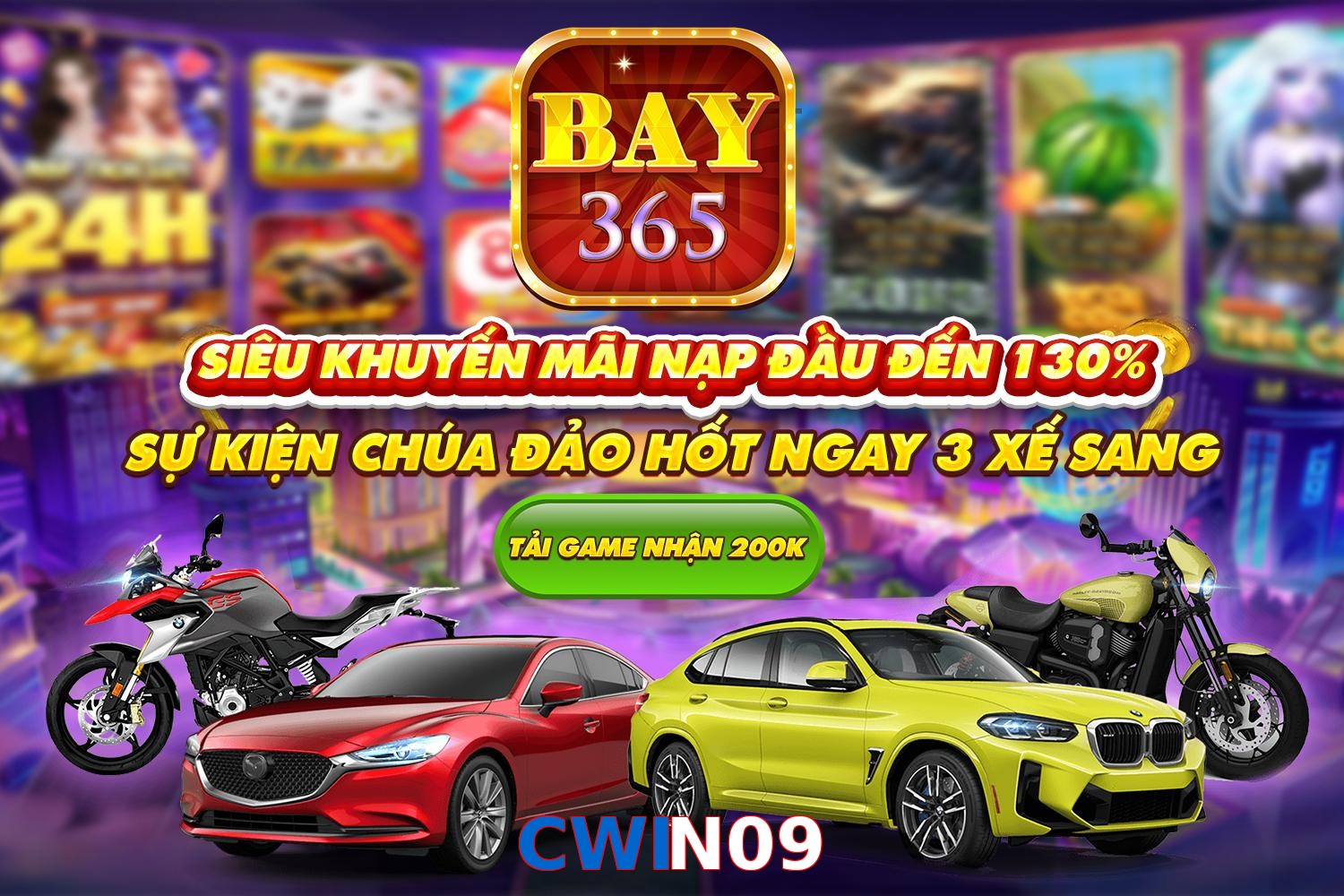 CWIN09