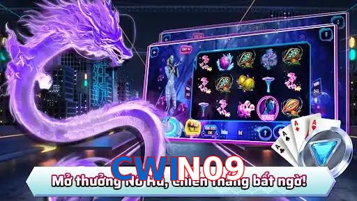 CWIN09