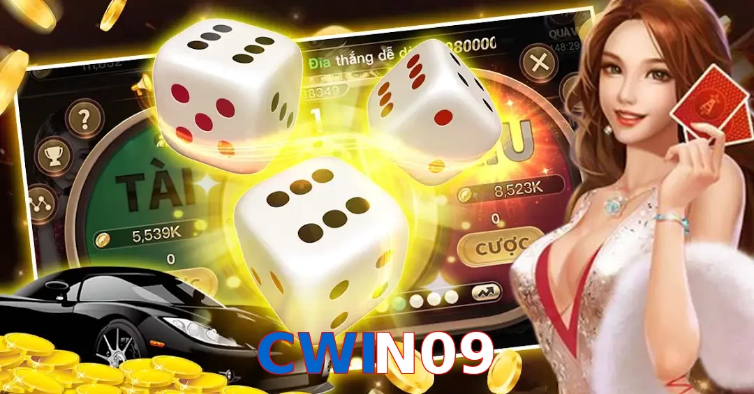 CWIN09