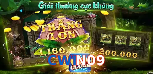 CWIN09