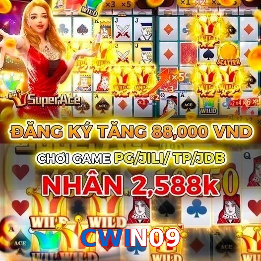 CWIN09