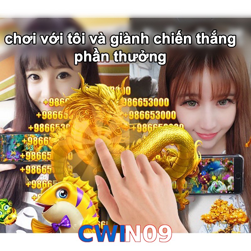 CWIN09
