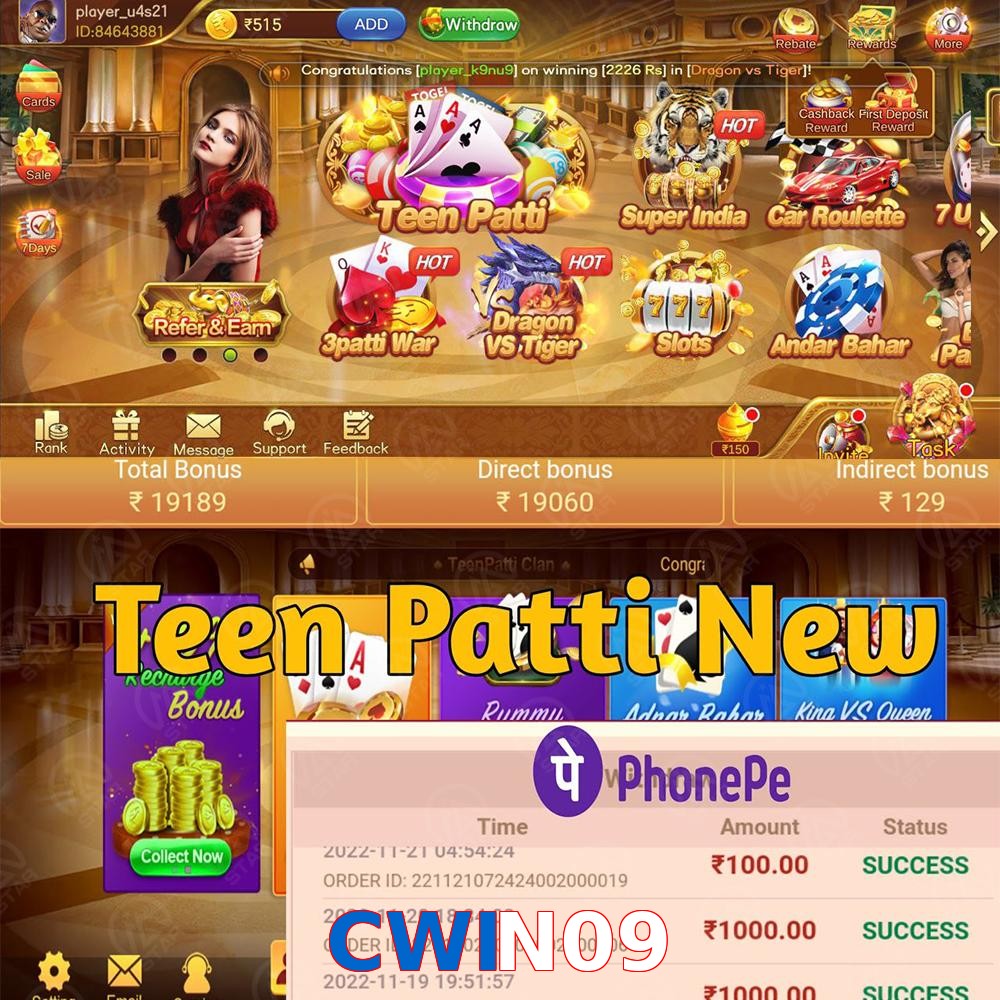 CWIN09