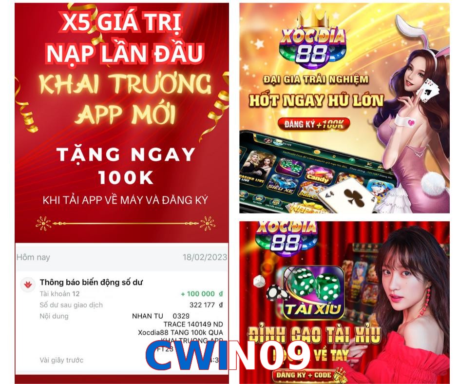 CWIN09